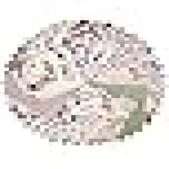 inch Squares Layer Cake Print Floral Fabrics {6}