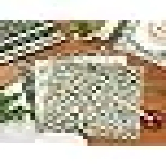 Squares Eucalyptus Leaves Sewing Fabrics for DIY Craft Party Decor {3}