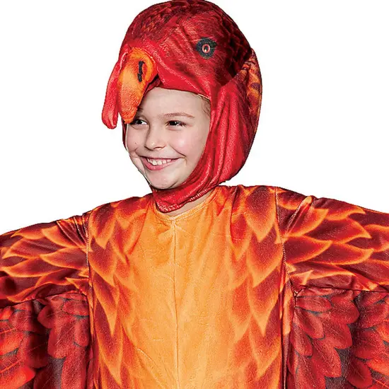 Toddler Turkey Printed Costume {3}