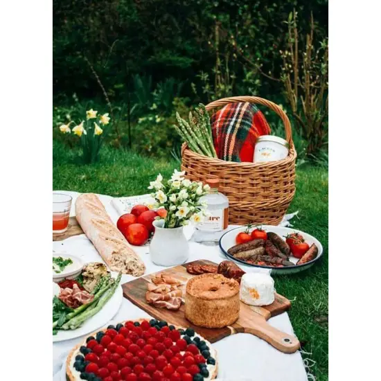 Qraftsy Plain Color Polyester XL Bandana - 27 x 27 Inch - 24 Pack {5}