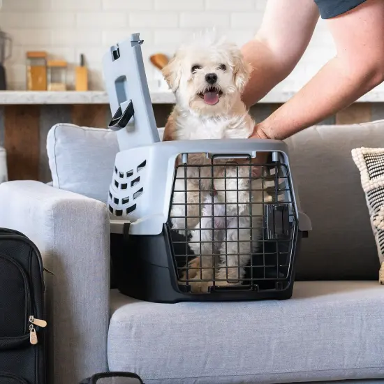 IRIS USA Small Pet Travel Carrier with Front and Top Access, Black/Gray {2}