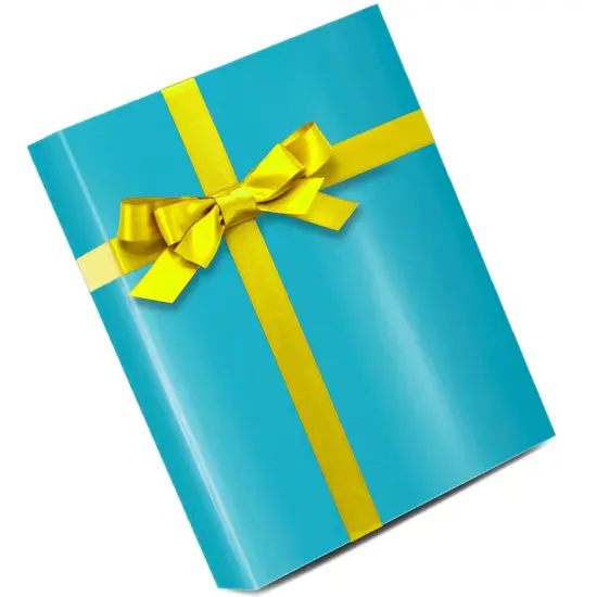 Refined Solid Color Paper 24" x 833' 60 lbs for Festive Wrapping {4}