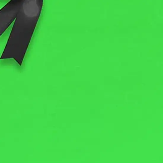 Stylish Solid Gift Wrap 30" x 833' 60 lbs for Memorable Events {4}