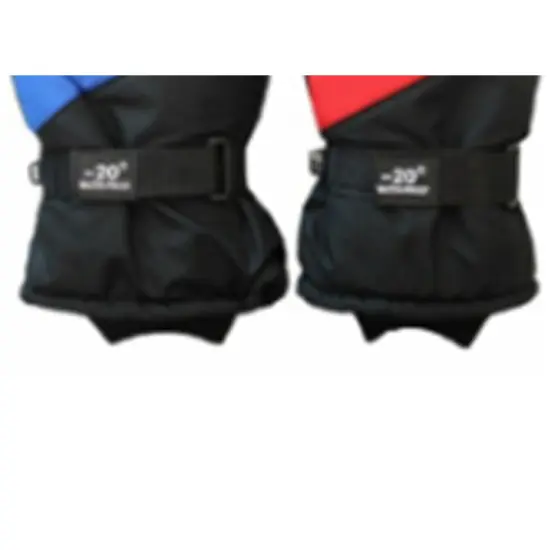 Solid Wing Assorted Ski Gloves for Winter Sports {5}