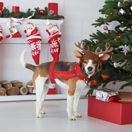 Reindeer Dog Pet Christmas Holiday Costume {4}