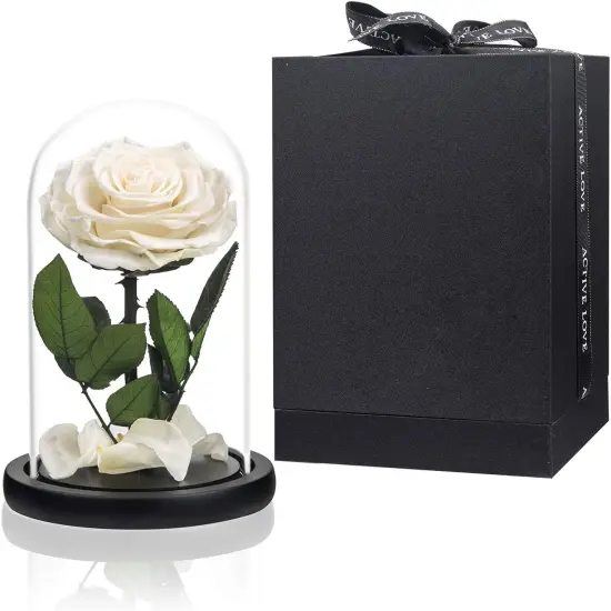 Preserved Flowers White Roses in Glass Dome {1}