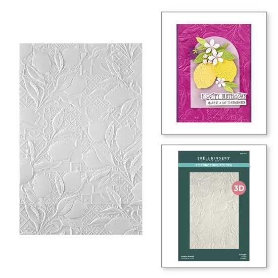 Spellbindrs 3D Embossing Folder From La Dolce Vita-Lemon Fresco {4}
