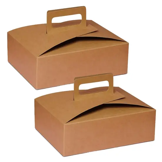 Flat Take Out Box with Handle Medium 9" x 7" x 3" {1}