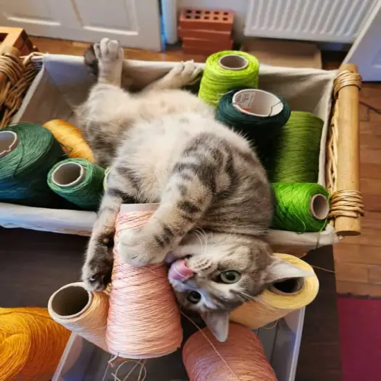 Guinevere 173-Z007 MK Counted Cross Stitch Kit {4}