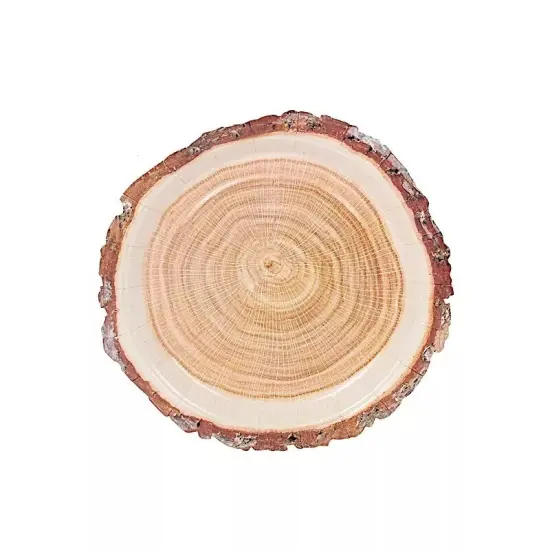 25 Natural 7 in Round Disposable Paper PLATES Wood Slice Design Party Events {1}