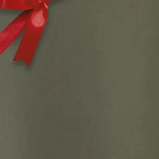 Fun Solid Color Wrap 24" x 833' 60 lbs for Festive Occasions {6}