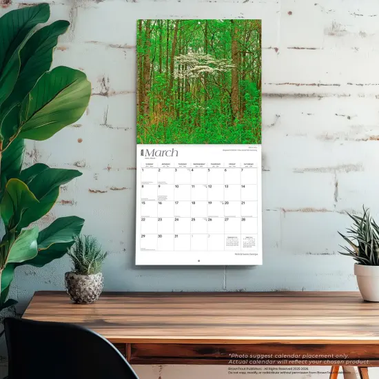 Georgia Wild & Scenic | 2026 12 x 24 Inch (Hanging) Monthly Square Wall Calendar | Plastic-Free {5}
