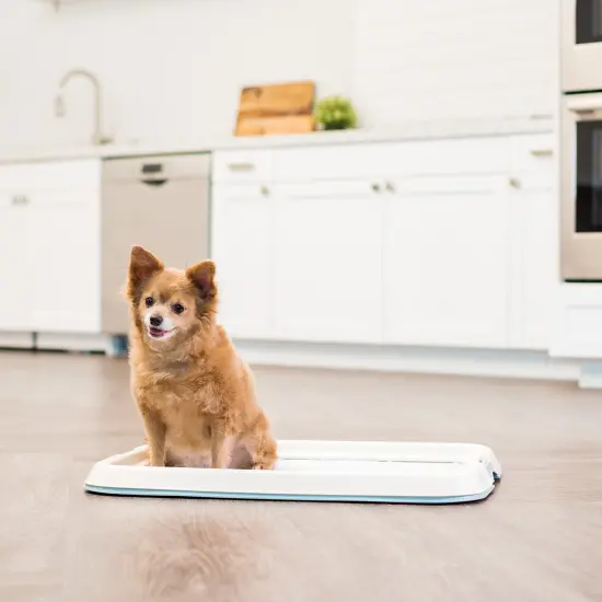 IRIS USA Square Pet Training Pad Holder {5}