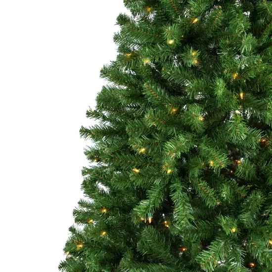 Northlight Pre-Lit Full Pendleton Spruce Artificial Christmas Tree - 7' - Clear Lights Green {6}