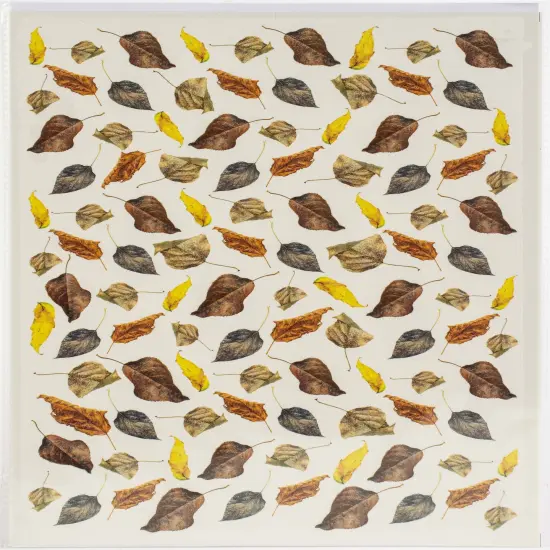 Dress My Craft Transfer Me Sheet A4-Dry Leaves {4}