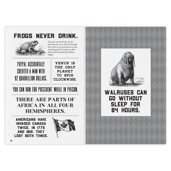 Today I learned (Volume 2) Softcover Book {4}