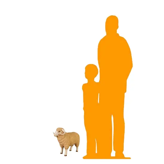 Baby Merino Ram Life Size Statue {2}