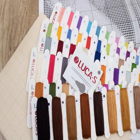 Puppy Picasso B2415L Counted Cross-Stitch Kit {5}