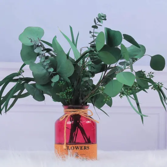 12Pcs Mixed Real Dried Eucalyptus Leaves Stems - Preserved Eucalyptus Branches, Silver Dollar Eucalyptus, Seeded Eucalyptus Bouquets for Vase Floral Arrangements Wedding Greenery Decor {2}