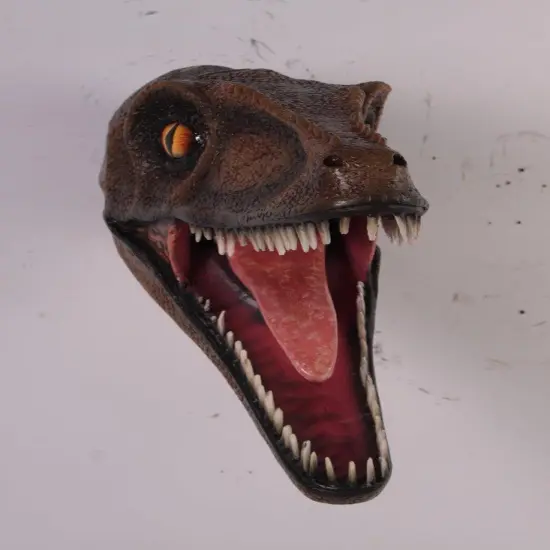 Velociraptor Dinosaur Head Life Size Statue {4}