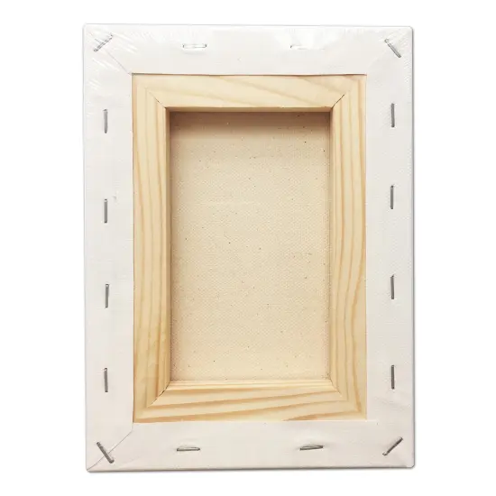 CRAFTS Stretched Canvas 6" X 8" Pack of 6 {5}