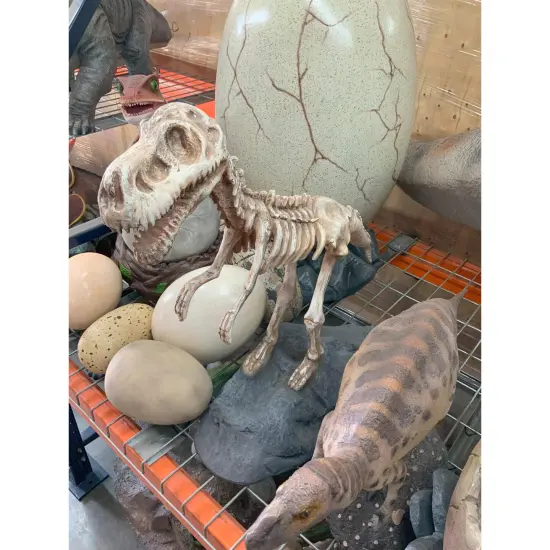 Baby T-Rex Dinosaur Skeleton On Base Life Size Statue {6}