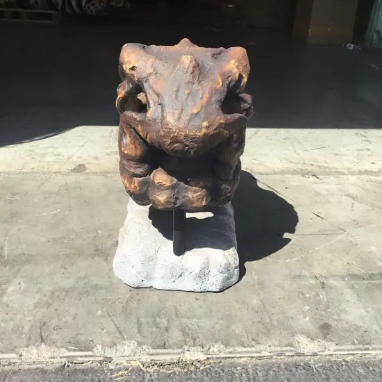 T-Rex Dinosaur Skull Head Life Size Statue {5}