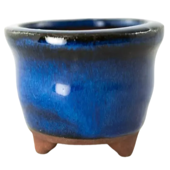 Round Blue Mame Bonsai, Succulent, Accent Plants Pot 3.25"x 3.25"x 1.5" + Mesh {1}