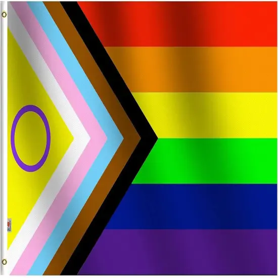 Premium Inclusive New Progress Rainbow Flag 2x3Ft - Both Sides Print Smooth Silk Fabric Support Pride Love LGBT - House Decoration Banner Small Yard Gift {1}