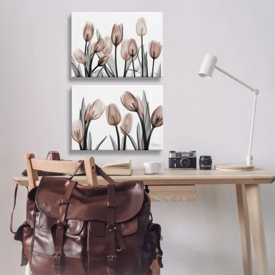 Stupell Industries Translucent Tulips in Mocha 2pc Canvas Set By Albert Koetsier {2}