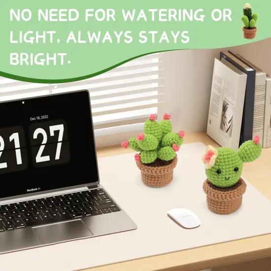 Crochet Plants Crochet Kit {4}