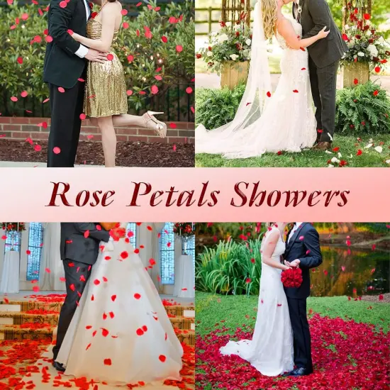 2000 Pcs Gold Silk Rose Petals,Artificial Flower Petals for Wedding,Romantic Night,Romantic Valentines Decor for Bedroom,Weddings {5}