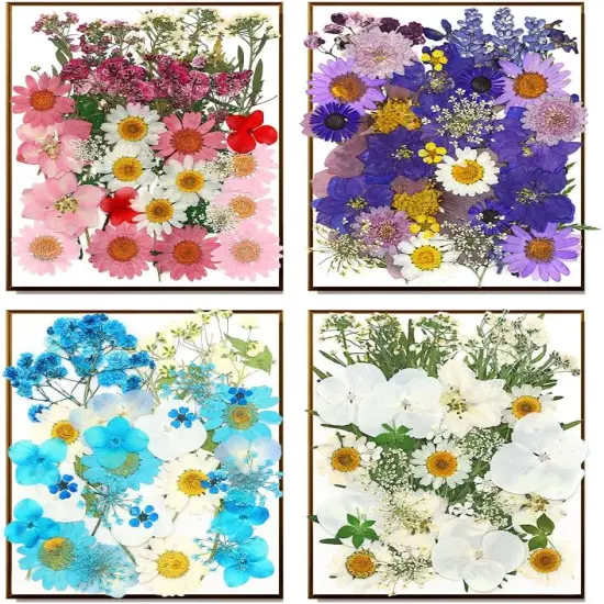 170Pcs+ Real Dried Pressed Flowers Leaves Petals for Crafts-Beautiful Pressed Flowers Daisies for Resin Jewellery {5}