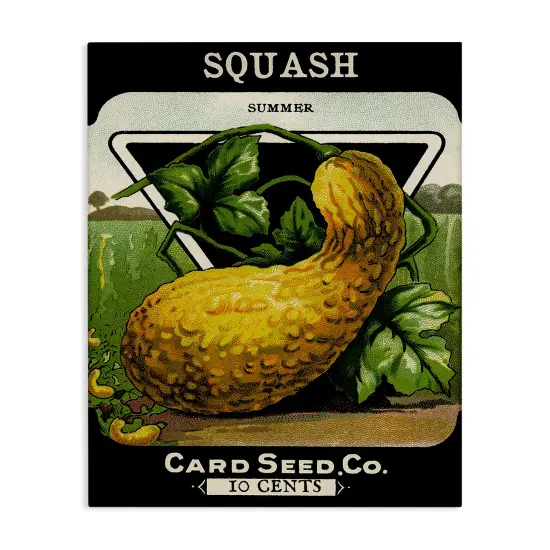 Stupell Industries Vintage Gardening Squash Canvas By Lil' Rue {1}
