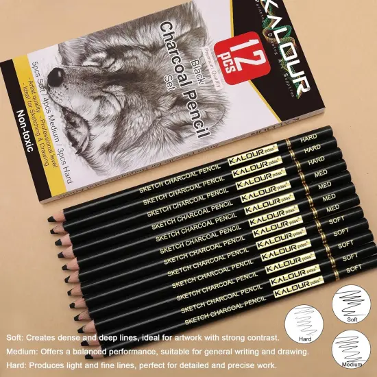 Professional Charcoal Pencils Drawing Set -12 Pieces Soft {4}