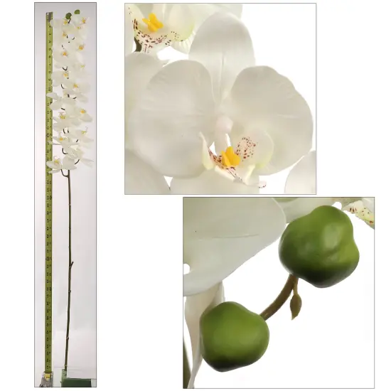 4pcs 49" Phalaenopsis Orchid Stem - 2025 Spring Collection {2}