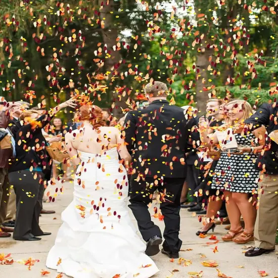 Fall Confetti/Maroon Orange Gold Confetti/Thanksgiving Decorations/Burgundy Orange Gold FAll Birthday Decorations Weddings Burgundy {3}