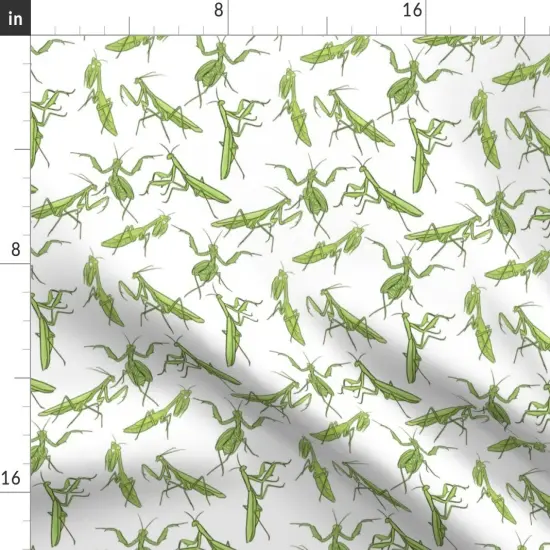 Various Fabrics by the Yard or Fat Quarter Mantis White Entomology Entomologist Insects Bugs Insect Bug Beetle Custom Printed Fabric by Spoonflower {2}