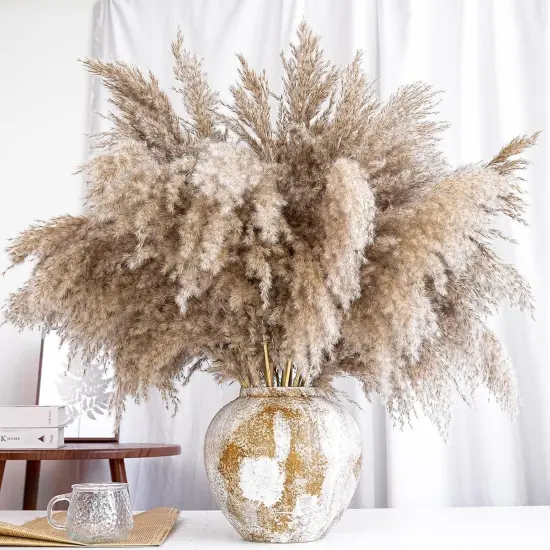 40 PCS Nature Pampas Grass Bouquet {4}