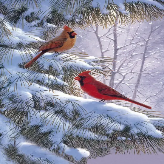 Large Boxed Christmas Card Assortment- Wonder and Joy - 24 cards and envelopes {4}