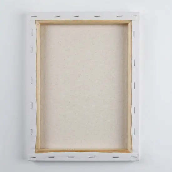 Daler-Rowney Simply Stretched Canvas 2/Pkg-9"X12" {5}