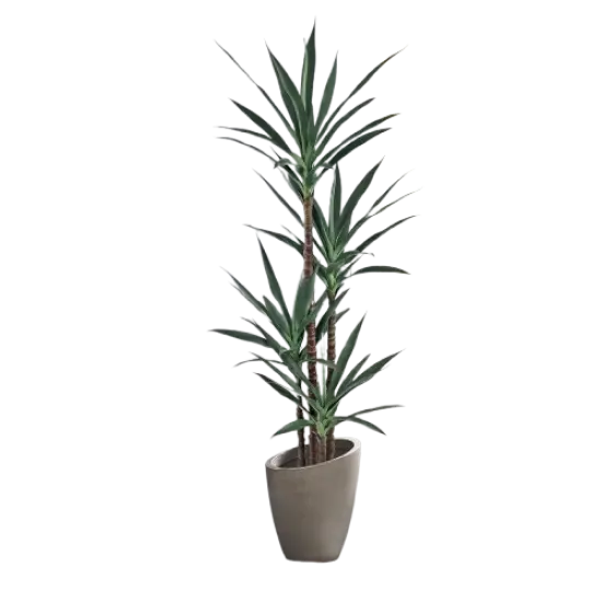 Artificial Agave Plant 5FT with 54 Leaves & 4 Trunks & Elegant Black Pot Faux Tall Floor Fake Large Modern Tree 62 Inch for Home (5FT, 1Pack) {1}