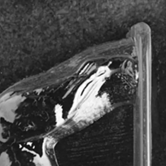 Large Rottweiler Dog Chocolate Mold for Custom Treats {4}