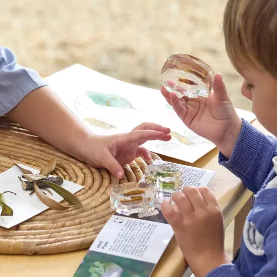 Kaplan Early Learning Company Specimen Life Cycle Puzzles: Moth {3}