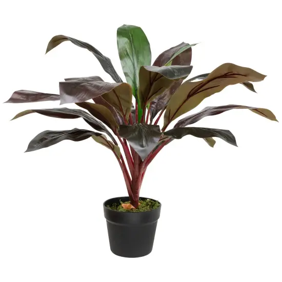 Northlight Real Touch&trade;️ Red and Green Artificial Dracaena Potted Plant - 23" {3}