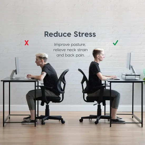 IRIS USA 1 Tier Computer Monitor Stand for Desk Black {2}