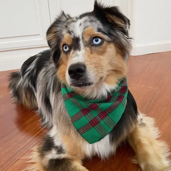 Wrapables Christmas Pet Triangle Bandana, Bib Scarves For Cats and Dogs (Set of 2), Small, Classic Plaid {6}