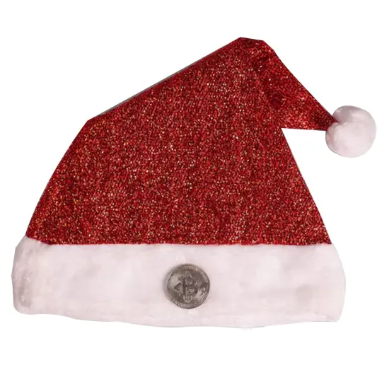Northlight Medium Santa Hat Adult Costume {5}