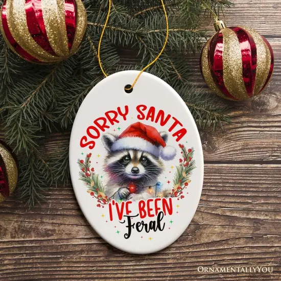 Sorry Santa I've Been Feral Ornament, Funny Raccoon Christmas Gift and Decor {5}