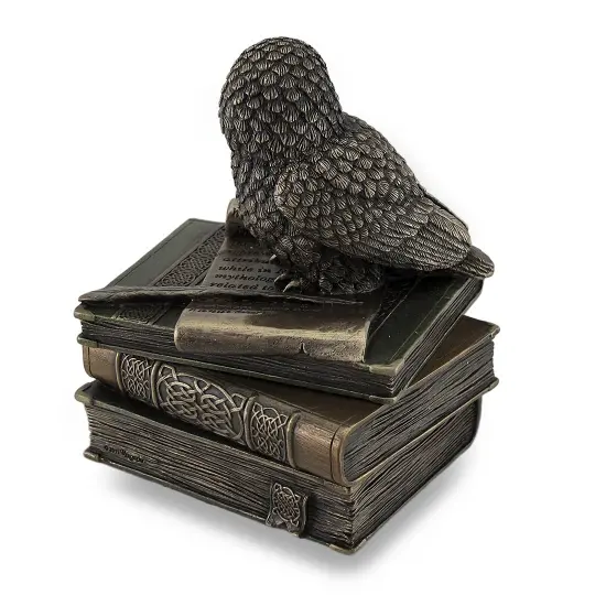 Owl Perched On Stack of Books Bronzed Trinket Box/Stash Box Statue {4}